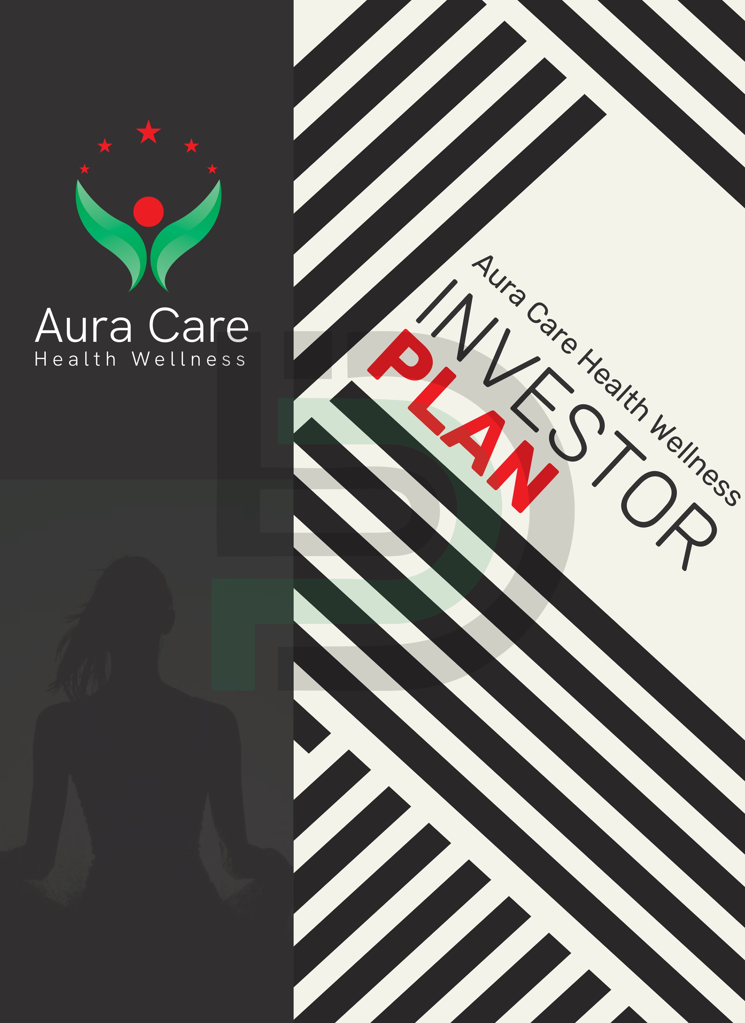 Investor and Bank Plans